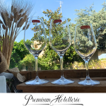 Calice Vino in Vetro Allround - Spiegelau - Conf. 12 Pezzi - immagine 2